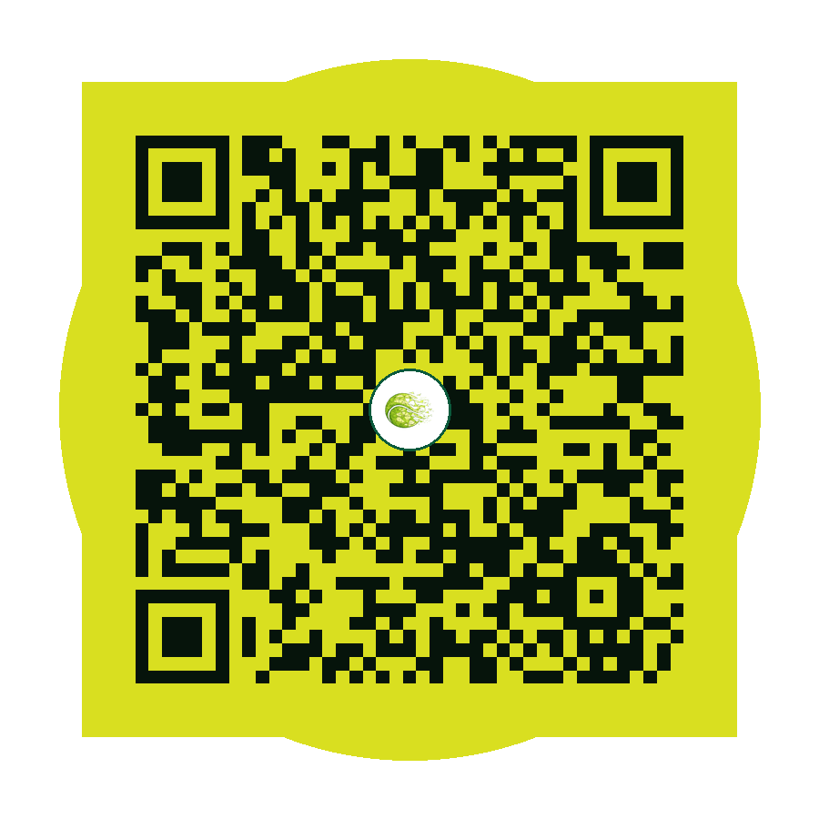 QR-Code Meisterschaft